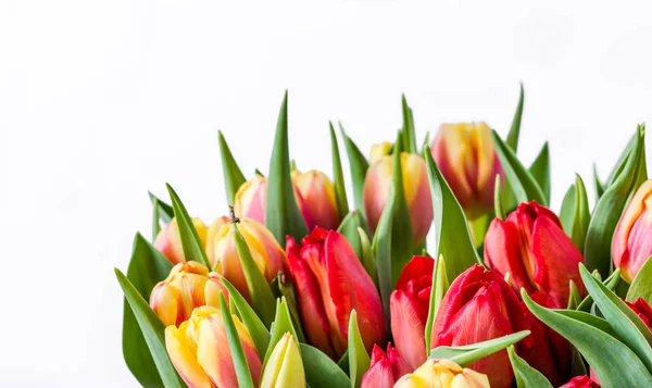 Coloridas Flores Primavera Ramo Tulipanes Aislados Sobre Fondo Blanco Útil — Foto de Stock