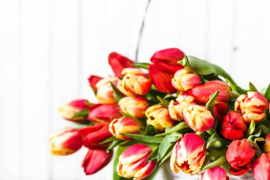 Lale, beyaz arka plan üzerinde izole buket demet. Lale çiçek anneler günü hediyesi ya da kadınlar günü kartı için.