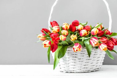Bahar çiçekleri sepeti. Anne gün kartı olarak yararlı gri arka planda lale buket.