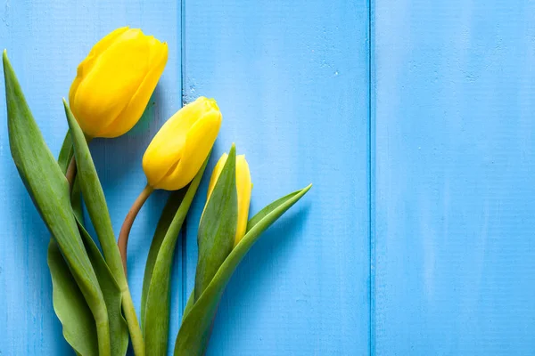 Spring easter background with tulip on wood — Stock Photo, Image