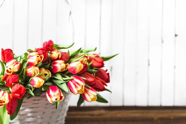 Jarní Tulipán na dřevěné pozadí. Květinový den matek. — Stock fotografie