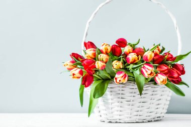Parlak arka planda çiçekler ile sepet. Anneler günü lale hediyesi.