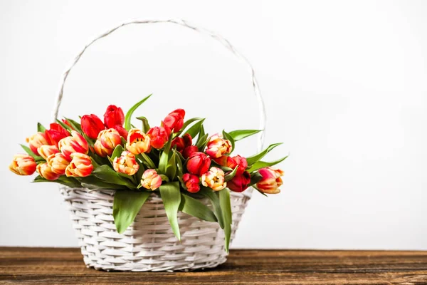 Beyaz arka planda lale Paskalya bahar demet. Anneler günü çiçekler.
