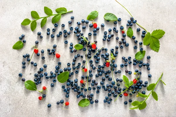 Fresh blueberries, top view. Blue berry with plants and wild strawberry, fruit mix.