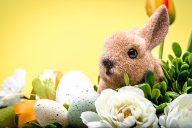 Paskalya tavşanı, sarı arka plan üzerinde bahar paskalya dekorasyon.