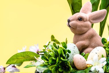 Yumurtalı Paskalya arkaplanı, Paskalya tavşanı ve bahar çiçekleri.