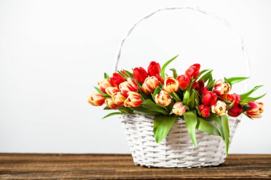 Bahar lale buketi, çiçekli sepet. Anneler günü geçmişi.