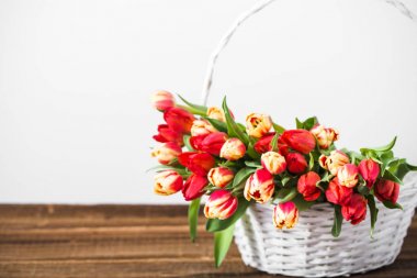 Bahar lale buketi, çiçekli sepet. Anneler günü arka plan.