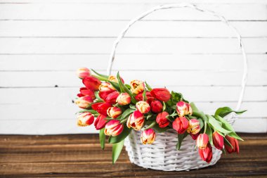 Bahar lale buketi, çiçekli sepet. Kadınlar Günü veya Anneler Günü kartı konsepti için arka plan.