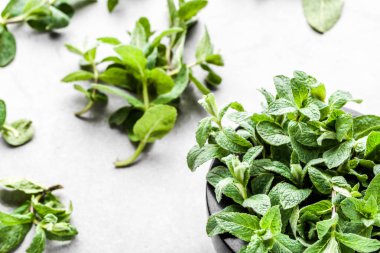 Yeşil organik nane yaprakları veya nane, beyaz arka plan üzerinde taze nane