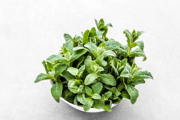 Sputmint organik hijau. Daun mint segar dalam mangkuk di latar belakang abu-abu — Stok Foto