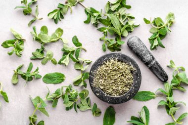 Yeşil taze nane yaprakları ve nane kuru ot, düz yatıyordu, üst görünümü