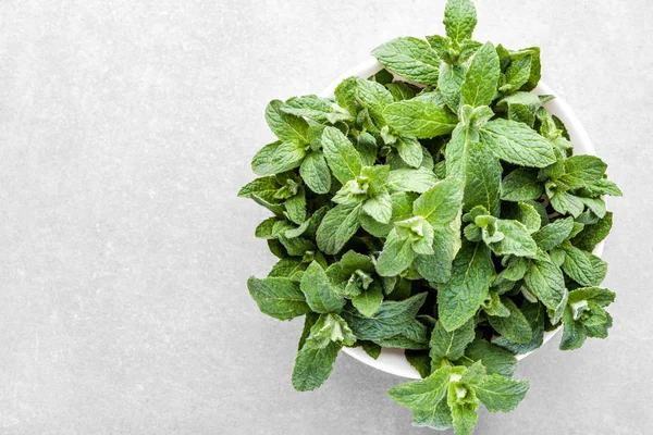 Sputmint organik hijau. Daun mint segar dalam mangkuk di latar belakang abu-abu — Stok Foto