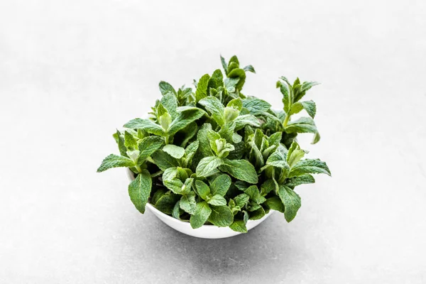 Peppermint organik hijau. Daun mint segar pada latar belakang putih . — Stok Foto