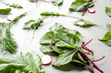 Farklı sebze yaprakları. Taze yeşil salata yaprakları. Pancar, roka, marul, ıspanak..