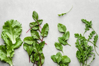 Yapraklı sebzeler. Taze yeşil salata yaprakları. Marul, pancar, ıspanak ve roka..