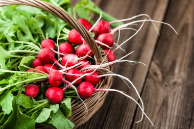 Taze sebze çiftliği. Taze toplanmış organik turplar, çiftçi pazarında kırmızı bir demet turp..