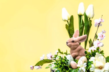 Paskalya tavşanı, bahar paskalya arka plan
