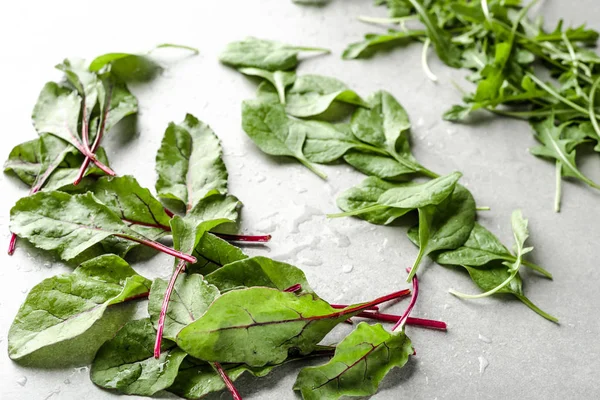 Freshly harvested green vegetable leafs. Fresh green salad, leaves of beet, spinach and arugula — Stock Photo, Image