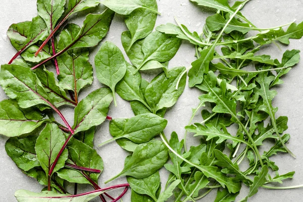 Freshly harvested green salad leaves. Fresh baby leafs of beet, spinach and arugula. — Stock Photo, Image