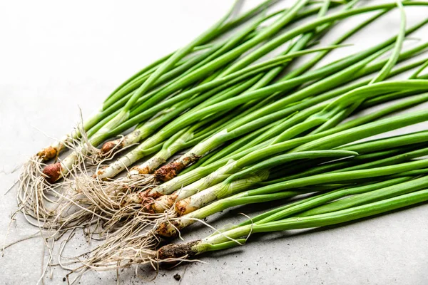 Cebolla fresca de primavera, verduras verdes recién cosechadas productos orgánicos, vista superior —  Fotos de Stock