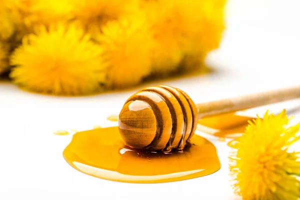 タンポポ蜂蜜、白い背景に蜂蜜の滴に固執 — ストック写真