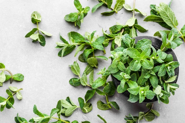 Hojas de menta ecológicas verdes o menta, menta fresca, vista superior — Foto de Stock