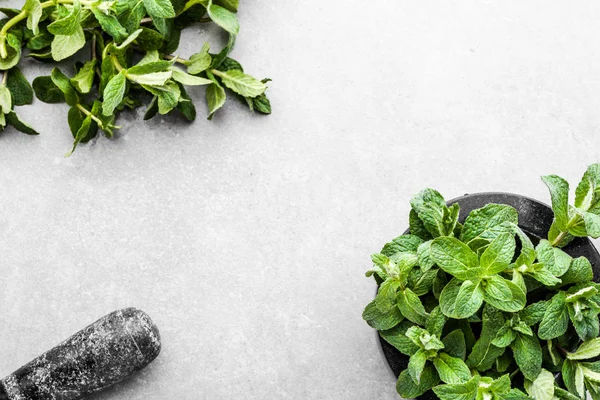 Grüne Minzblätter oder Pfefferminze, frische Minze im Mörser, Draufsicht — Stockfoto