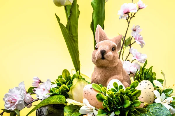 Decorazione con coniglietto pasquale, carta pasqua primaverile — Foto Stock