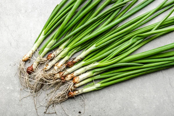 Hortalizas sucias. Cebolla verde. Granja fresca hortalizas ecológicas cosechadas del jardín . —  Fotos de Stock