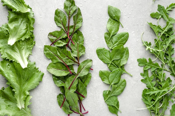 Свежие листья салата. Салат, свекла, шпинат и руккола . — стоковое фото