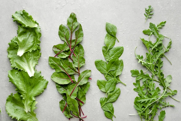Свежие молодые листочки. Свежесобранные листья зеленого салата. Свекла, ругула, салат и детский шпинат . — стоковое фото