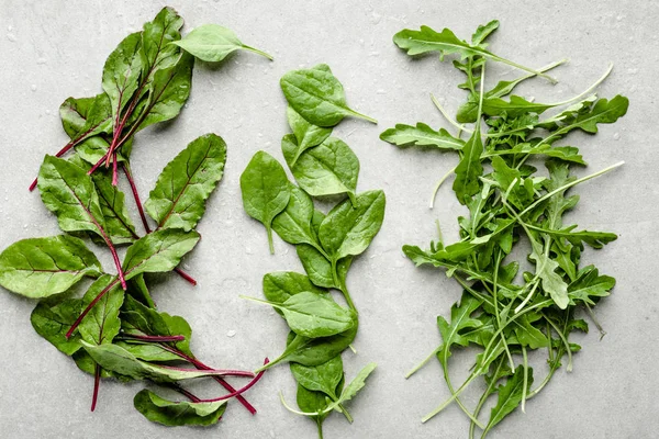 Assorted leafy vegetables. Farm fresh baby salads. Green salad leafs freshly harvested from the garden. Arugula, baby spinach and beet. — Stock Photo, Image