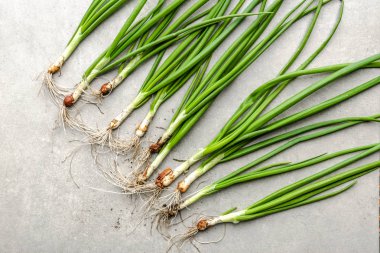 Çiftlik taze organik sebze. Taze hasat edilmiş soğan. Taze yeşil soğan.