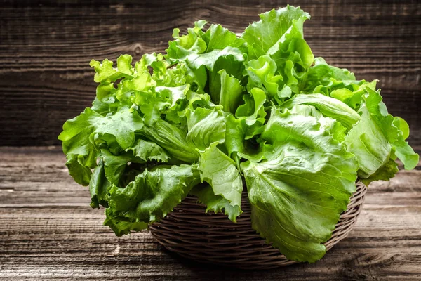 Hojas de lechuga verde, verduras orgánicas frescas de granja en el mercado agrícola — Foto de Stock