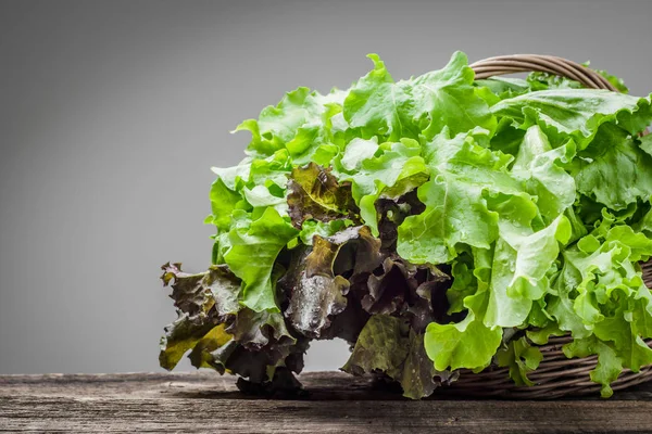Свіжозбирані овочі. Органічне, свіже листя салату, барвистий листя дуба, зелений овоч на дерев'яному столі . — стокове фото