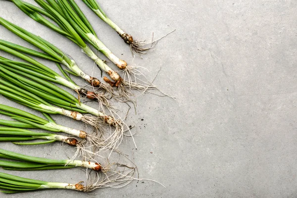 Bio biologische groenten. Vers geoogste lente groene ui of verse lente uitjes. — Stockfoto