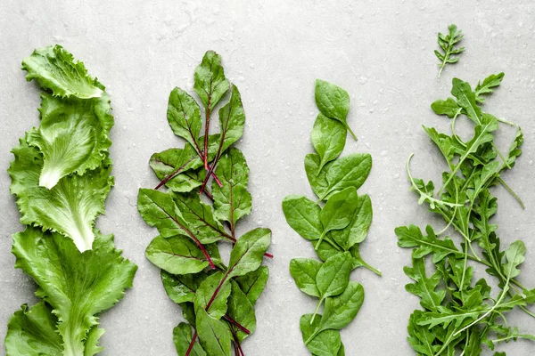 Bebek yaprakları. Çiftlik taze yeşil salata yaprakları. Marul, pancar, arugula ve bebek ıspanak, sağlıklı beslenme, vegan diyet kavramı. — Stok fotoğraf
