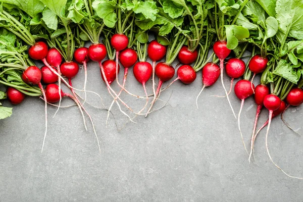 Świeże czerwone rzodkiewki na białym tle. Świeżo pozyskany ogród rzodkiewki. Organiczne zbiory warzyw. — Zdjęcie stockowe