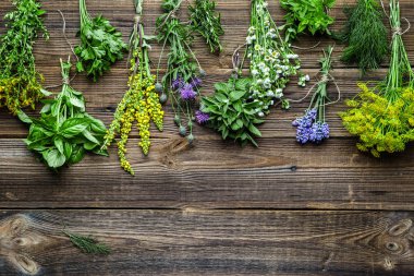 Bahçeden taze bitkiler getirdim. Farklı otlar, üst görünüm.