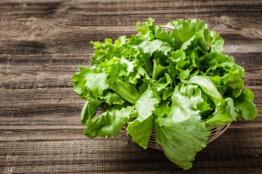 Biyolojik organik sebze. Taze toplanmış marul yaprakları. Yeşil, taze marul ahşap arka planda.