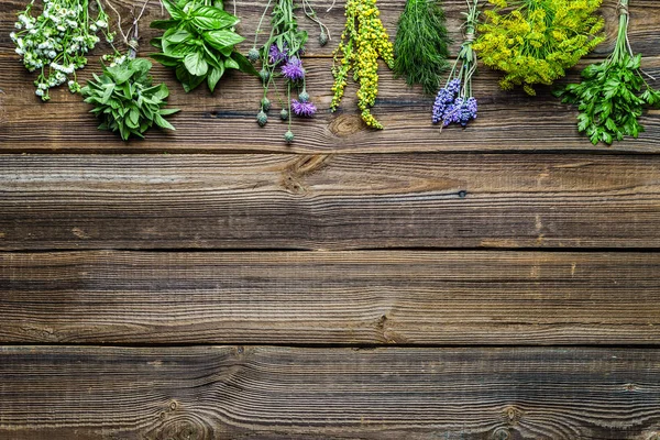 Kiválasztott gyógynövények a kertből, fából készült asztalon. Friss fűszernövény fán. — Stock Fotó