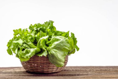 Taze marul yaprakları. Taze biçilmiş sebzeler. Beyaz arkaplanda organik yeşil marul.