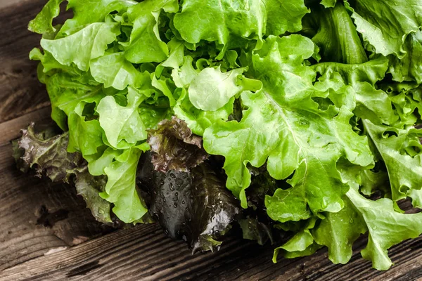 Verduras recién cosechadas. Hojas de lechuga orgánica, fresca, lechuga de roble, fondo . — Foto de Stock