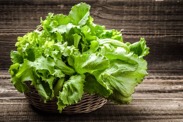 Зелене листя салату. Ферма свіжі органічні овочі на фермерському ринку . — стокове фото