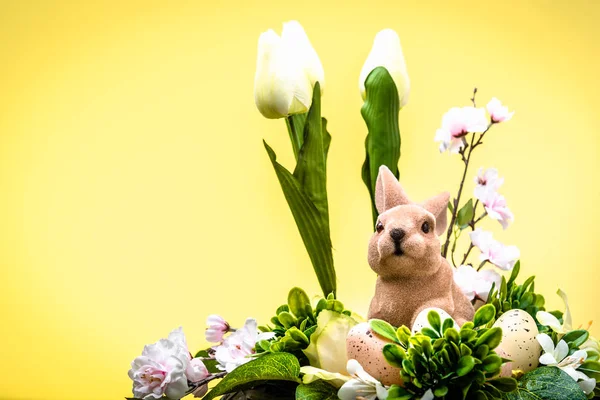 Coniglietto di Pasqua, primavera pasqua sfondo — Foto Stock