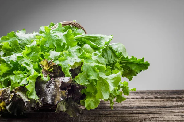 Біоорганічні свіжі листя салату, барвисті листя салату з дуба на столі — стокове фото