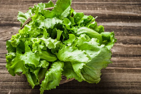Зелене листя салату. Органічне свіже листя салату на ринку фермерів . — стокове фото