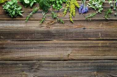 Taze bitkiler, kopyalama alanı olan arkaplan