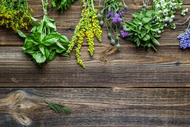 Bahçeden taze bitkiler getirdim. Farklı otlar, üst görünüm.